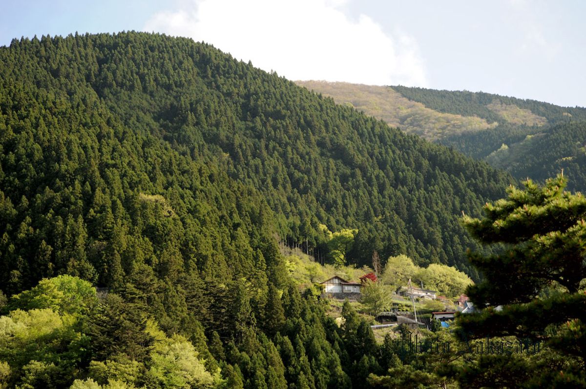 雲取山　日帰り登山